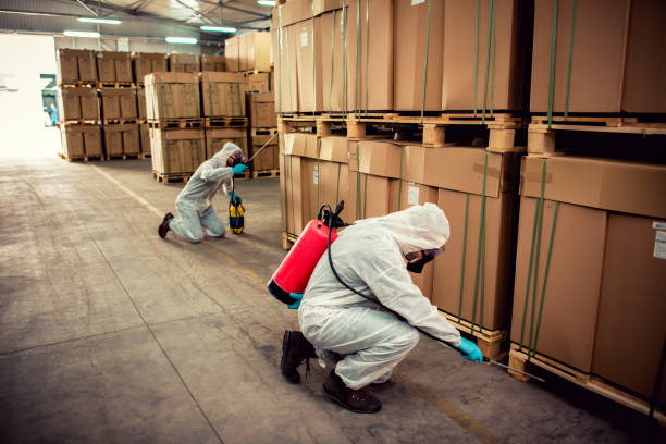Best Pest Control Near Me  in Skidaway Island, GA