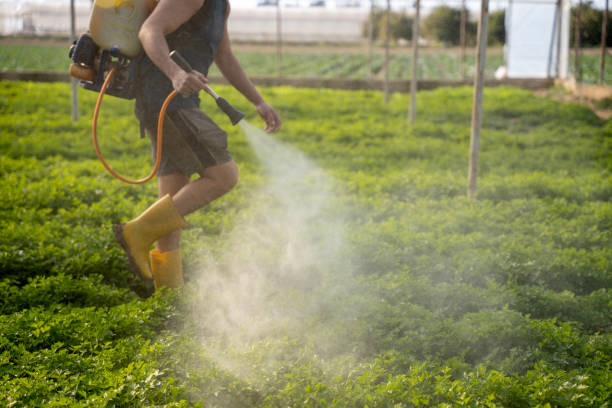 Best Pest Control for Restaurants  in Skidaway Island, GA