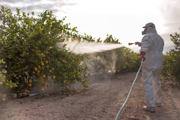 Best Pest Prevention Services  in Skidaway Island, GA