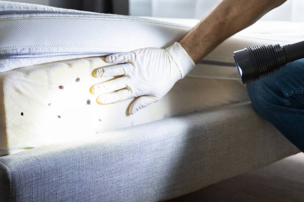 Best Residential Pest Control  in Skidaway Island, GA