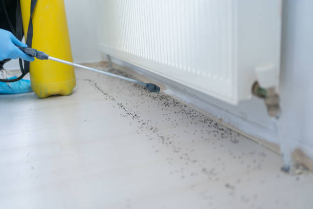 Best Best Pest Control Companies  in Skidaway Island, GA